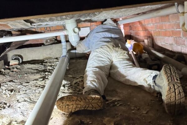 IMG_2284